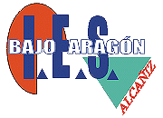 IES BAJO ARAGN