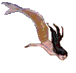 Sirena